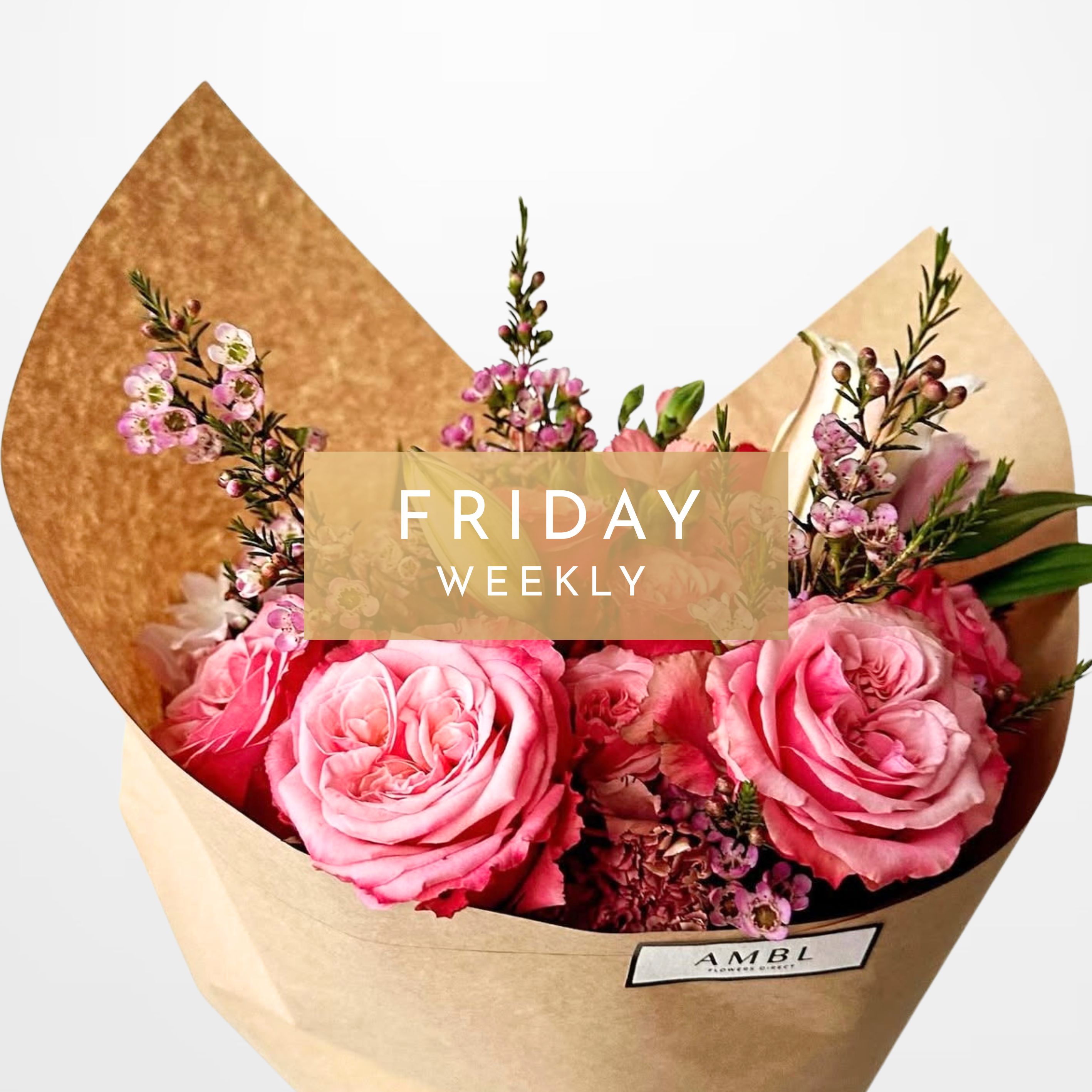 SB FRIDAY WEEKLY