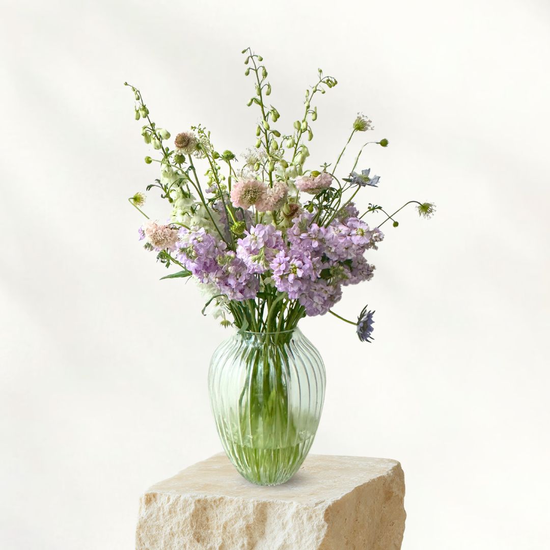 DB Lilac Matthiola Delphi Box