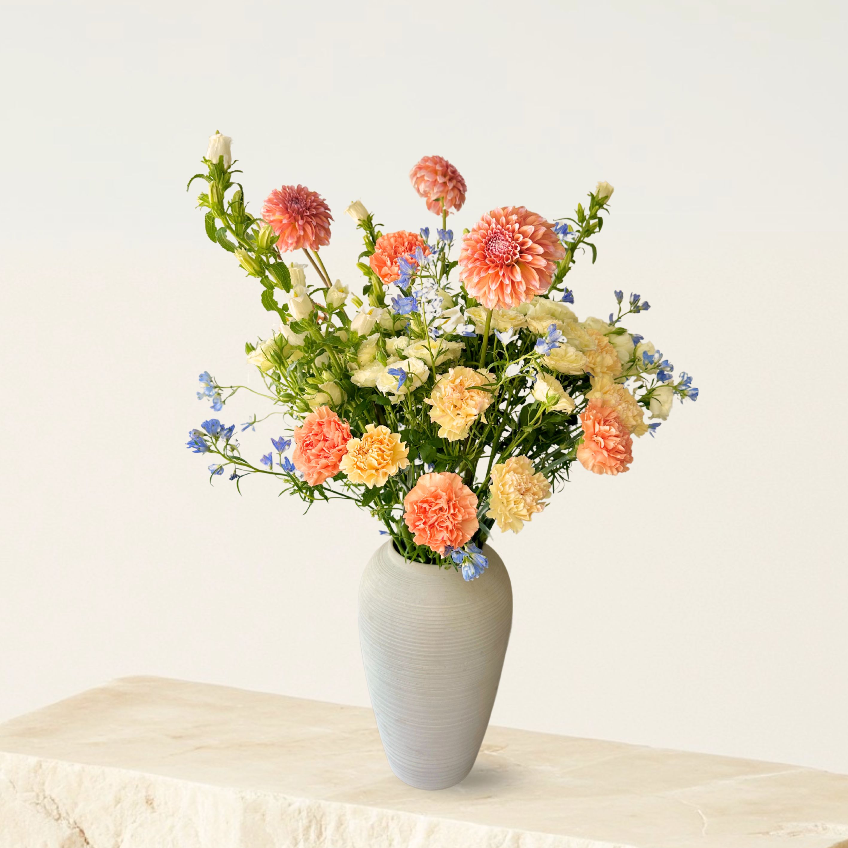 DB Abraca-Dahlia 
